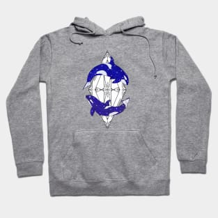 Galaxy Orcas Hoodie